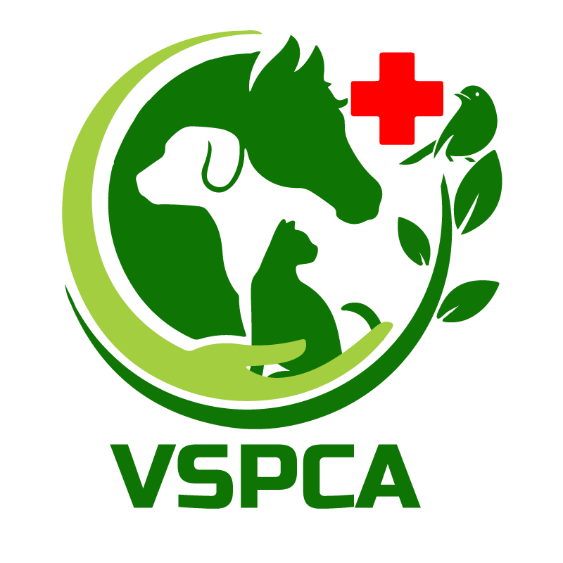 VSPCA – Vadodara Society for the Prevention of Cruelty to Animals